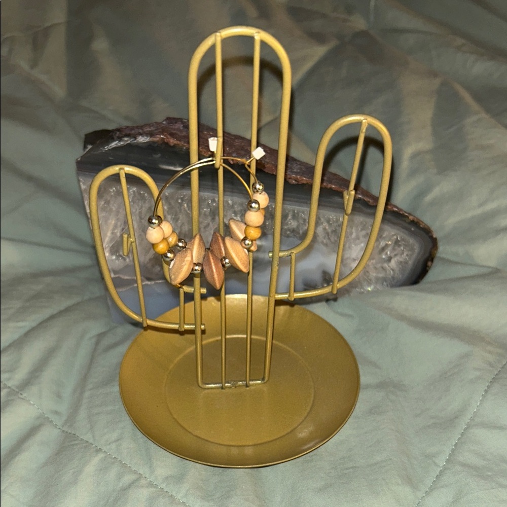 Cactus jewelry holder with earrings